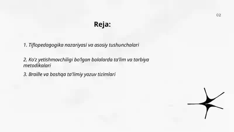 Tiflopedagigika 2