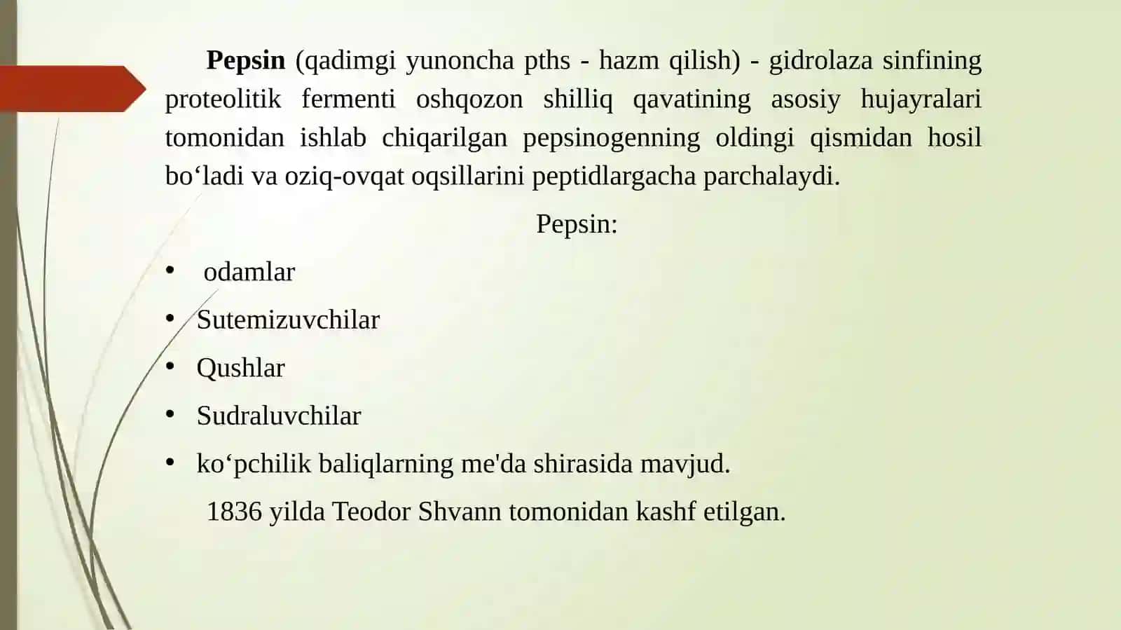 Pepsin 2