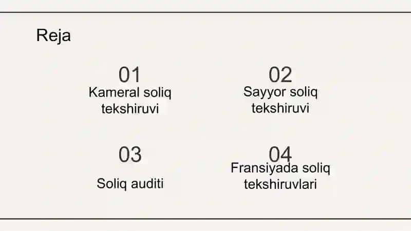 Soliq tekshiruvlarini tashkil qilish va o’tkazish 2
