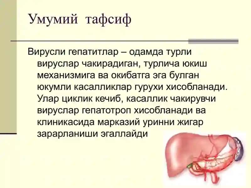 Вирусли гепатитлар 2