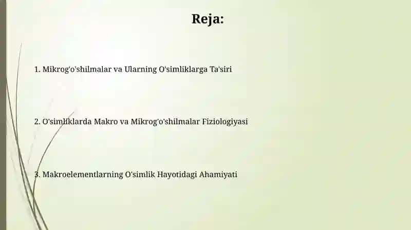 O'simliklarda Makroelementlarning Fiziologik Ahamiyati 2