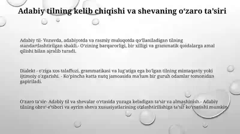 Adabiy Til Va Shevalarning O'Zaro Munosabati 2