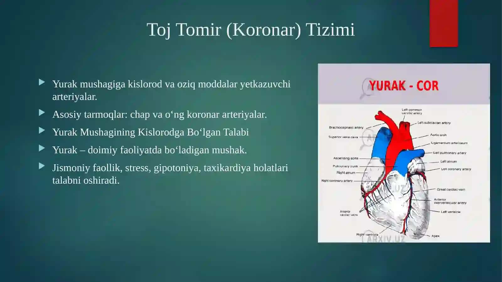 Toj Tomir Yetishmovchiligi 2