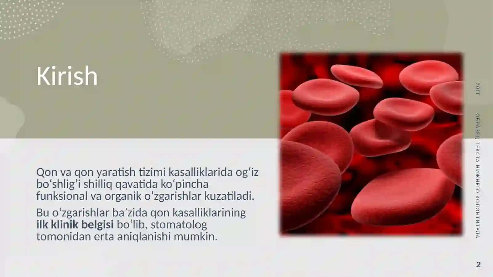 Qon kasalliklarida og‘iz bo‘shlig‘i shilliq qavati o‘zgarishlari (Anemiyalar) 2