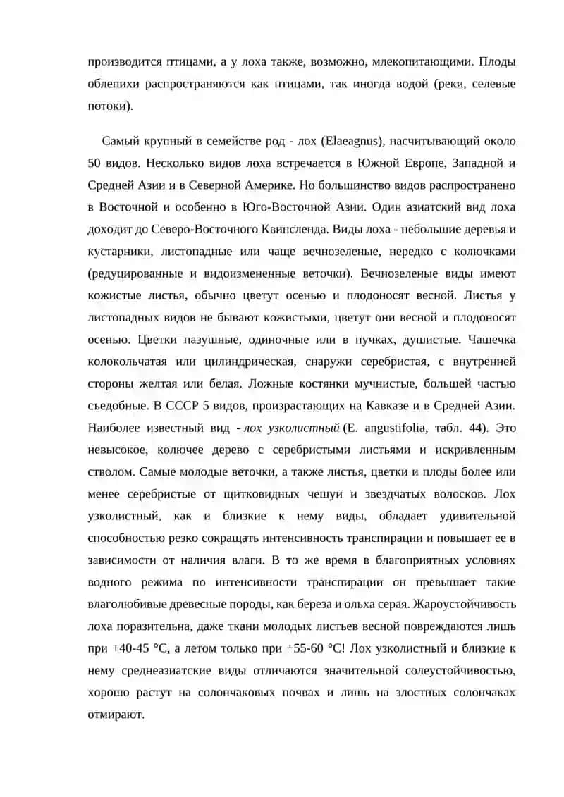 Лоховые (Elaeagnales) (И. Т. Васильченко) 2
