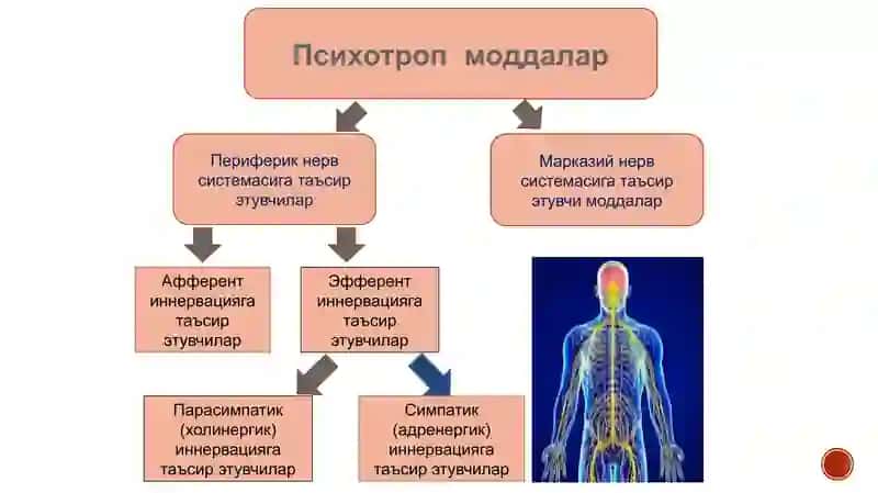 ХОЛИНЕРГИК МОДДАЛАР 2