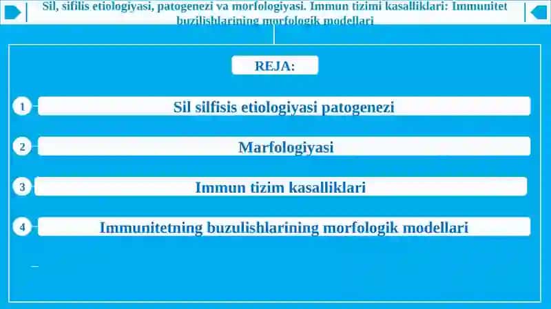 Sil, sifilis etiologiyasi, patogenezi va morfologiyasi. Immun tizimi kasalliklari: Immunitet buzilis 2