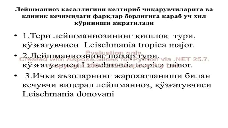 Лейшманиоз 2