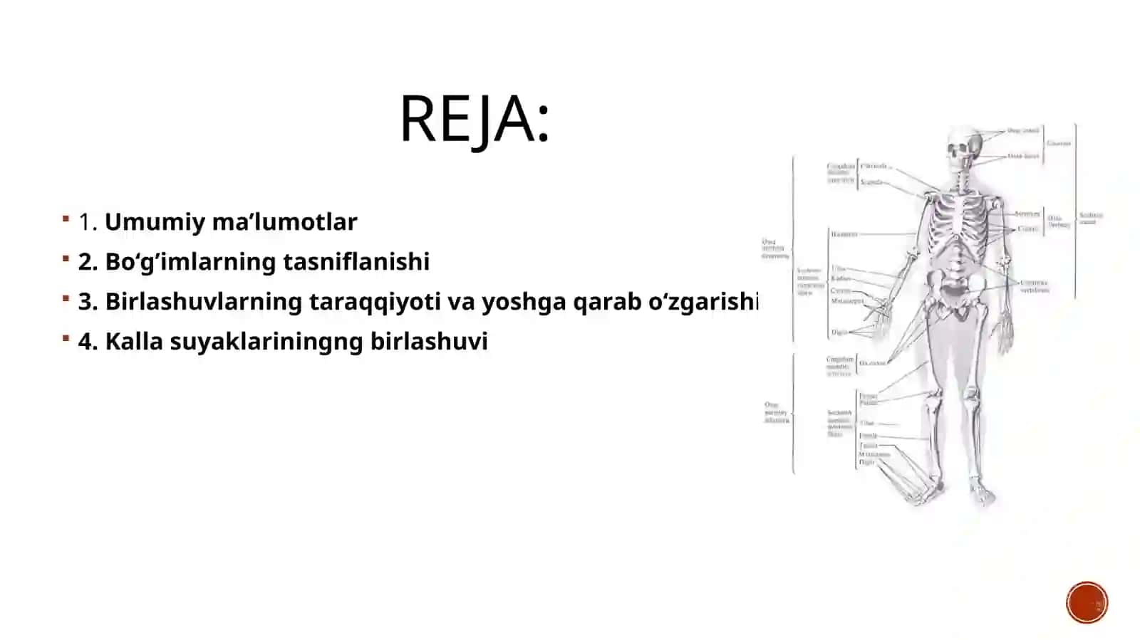Suyaklarning birlashuvi 2