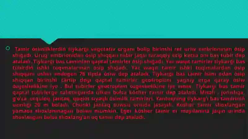 Tiykarǵı bas tamir 2