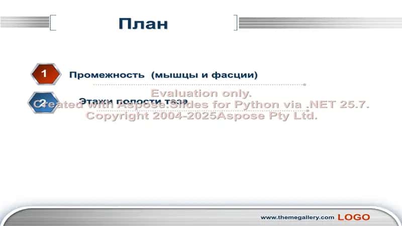 Промежность 2