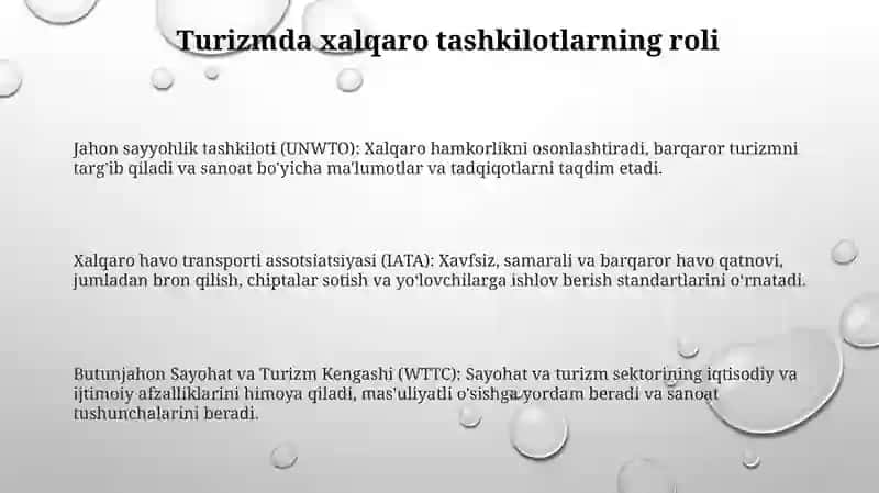 Turizm Sohasidagi Xalqaro Huquqiy Tashkilotlari 2