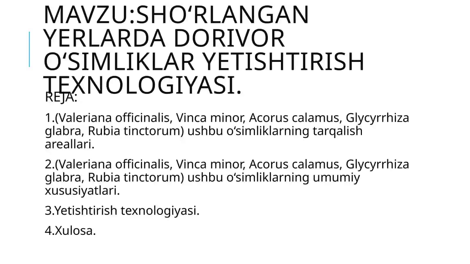 Sho'rlangan yerlarda dorivor o'simliklar yetishtirish texnalogiyasi 2