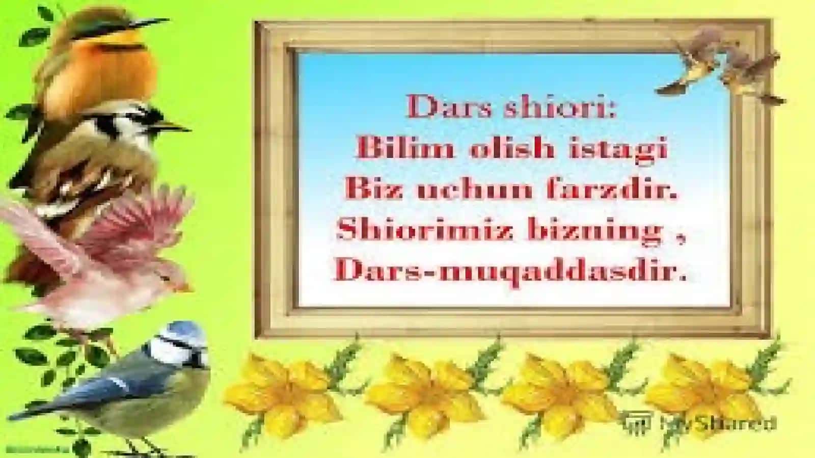 Farg`ona shahar 43-maktabi boshlang`ich sinf o`qituvchisi 2
