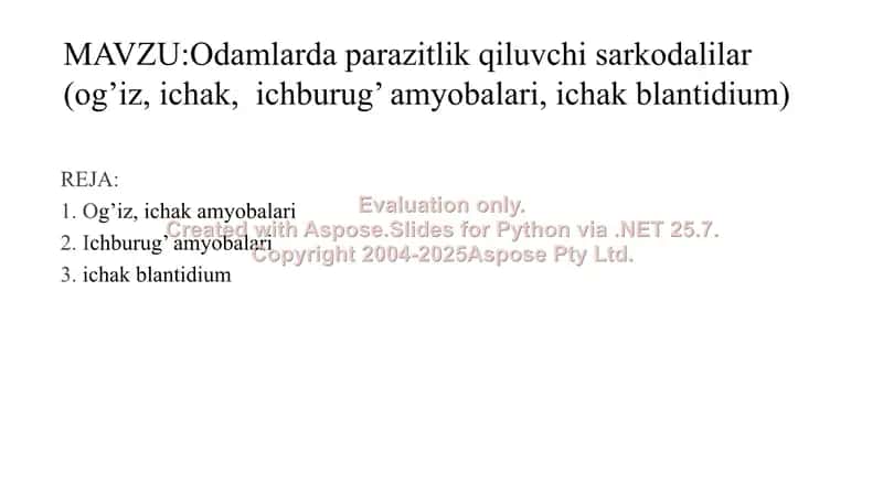 Parazitlik qiluvchi sarkodalilar (og’iz, ichak, ichburug’ amyobalari, ichak blantidium) 2