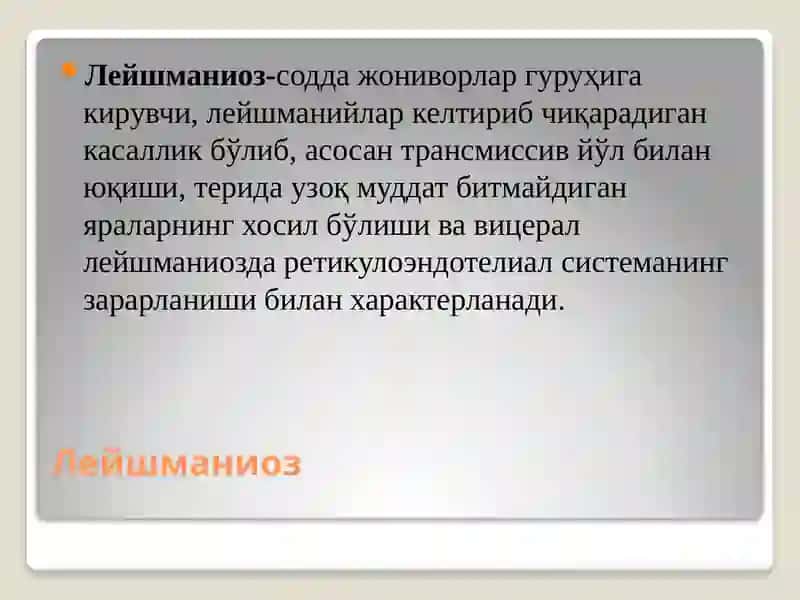 Лейшманиоз 2