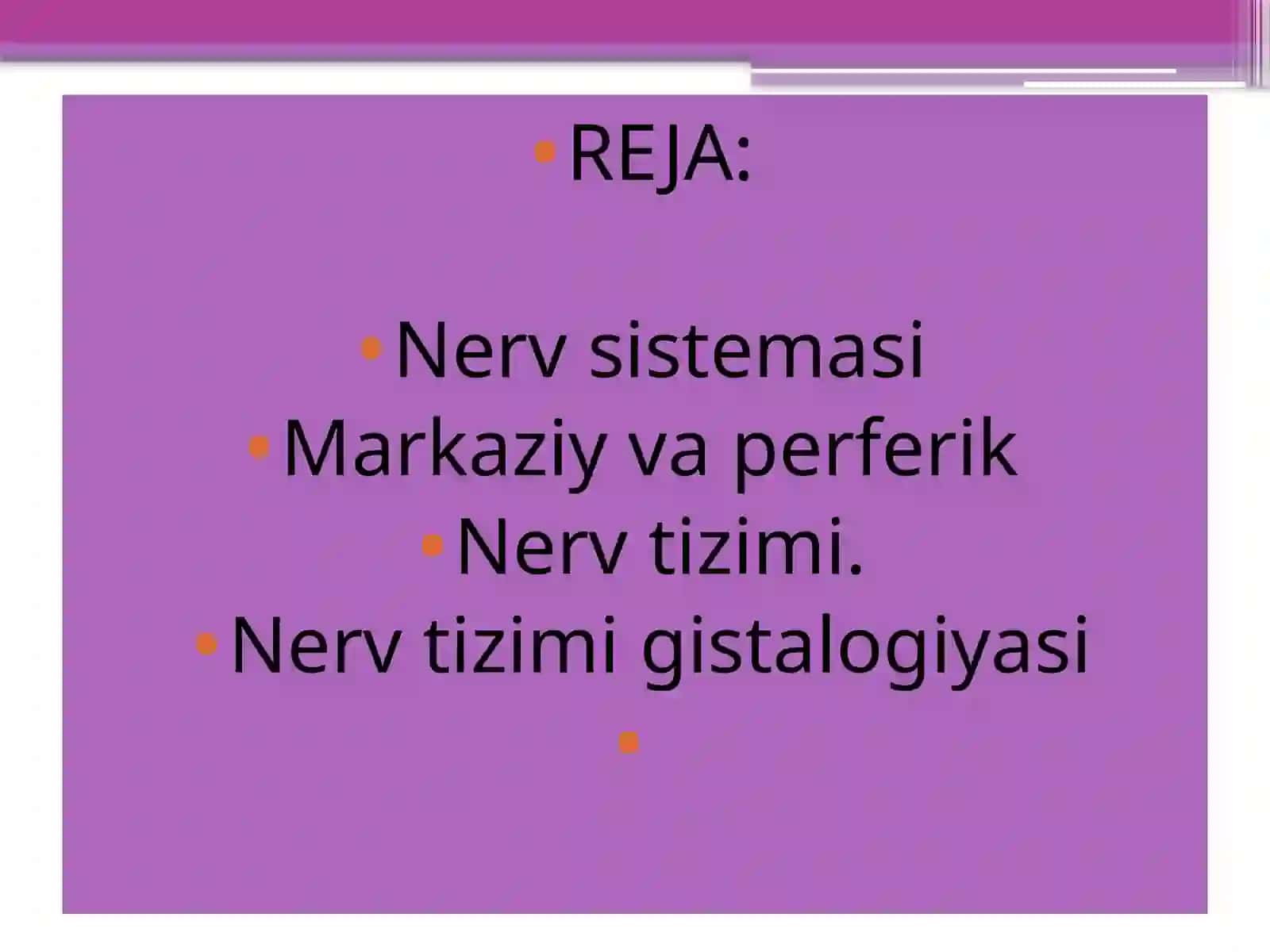 Nervsistemasi 2