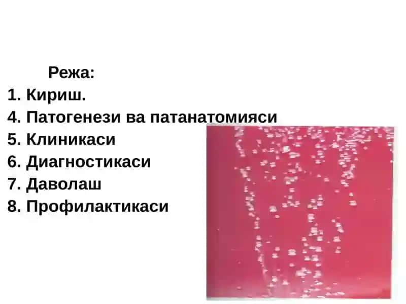Менингококкинфекцияси 2