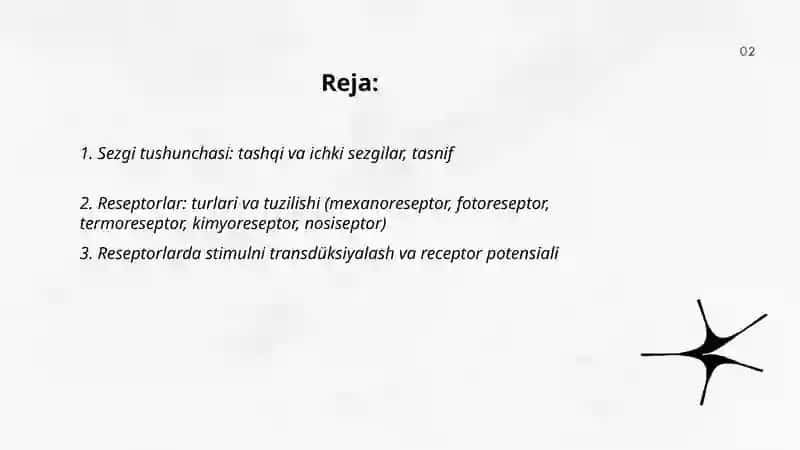 Sezgilar haqida umumiy tushuncha va uning nerv-fiziologik asoslari 2