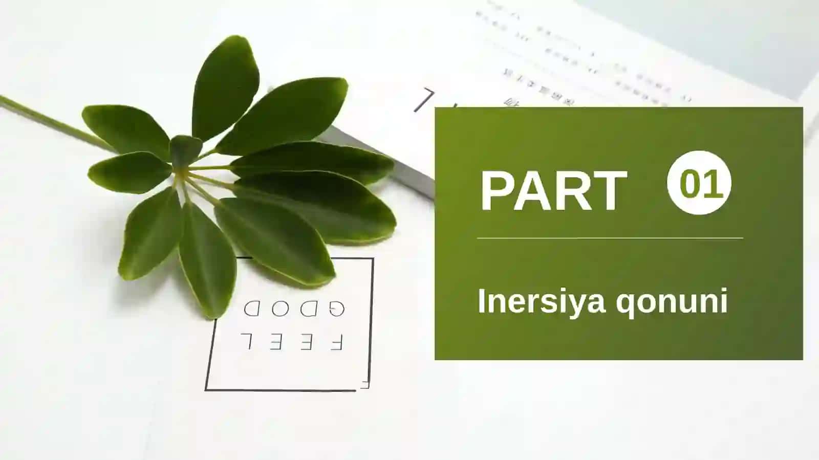 Dinamika qonunlari va uning ikkita masalasi 2