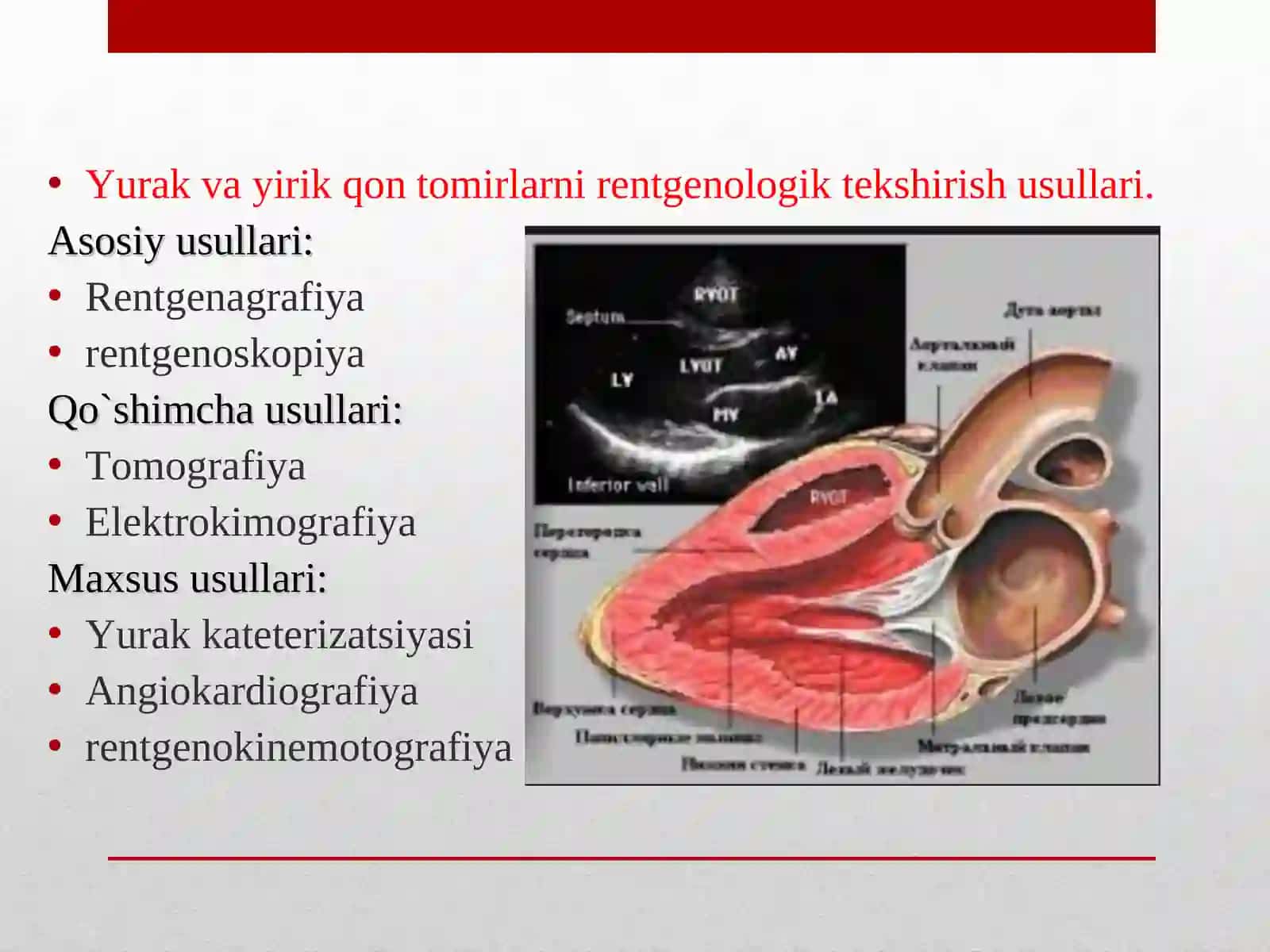 Yurak va yirik qon tomirlar kasalliklarining kompleks nur diagnostikasi 2
