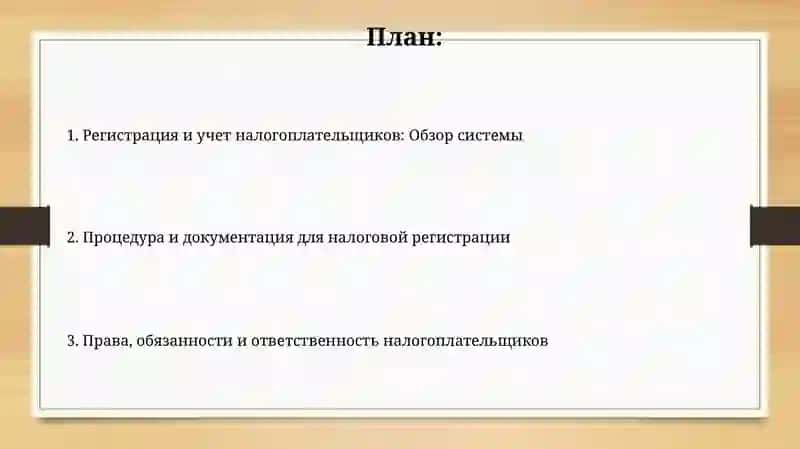 Регистрация и учет налогоплательщиков: Обзор системы 2