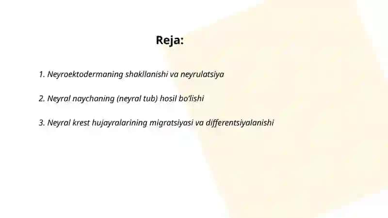 Asab tizimining ontogenezi 2