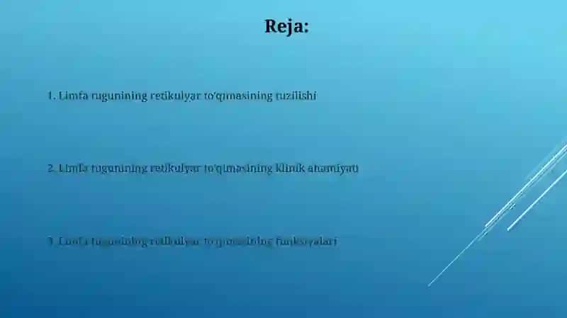 Limfatik tugunning retikulyar toqimasi 2