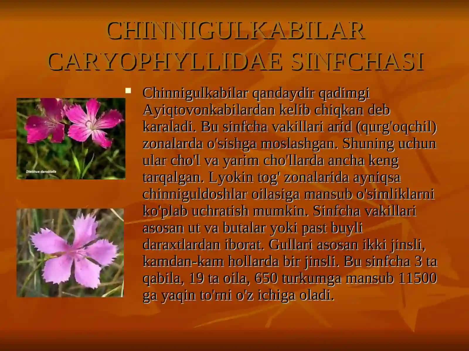 Chinnigulnamolar qabilasi 2
