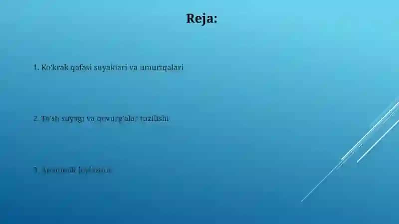 Ko'krak suyaklari va umurtqalari 2