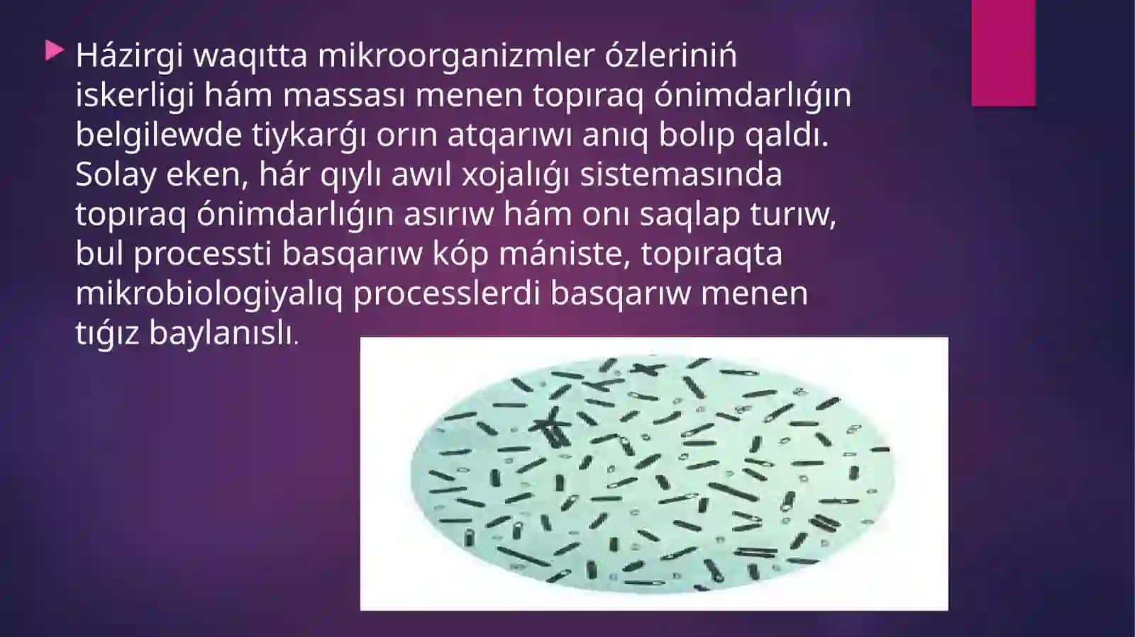 Ónimdarlıqtı asırıw biotexnologiyası 2