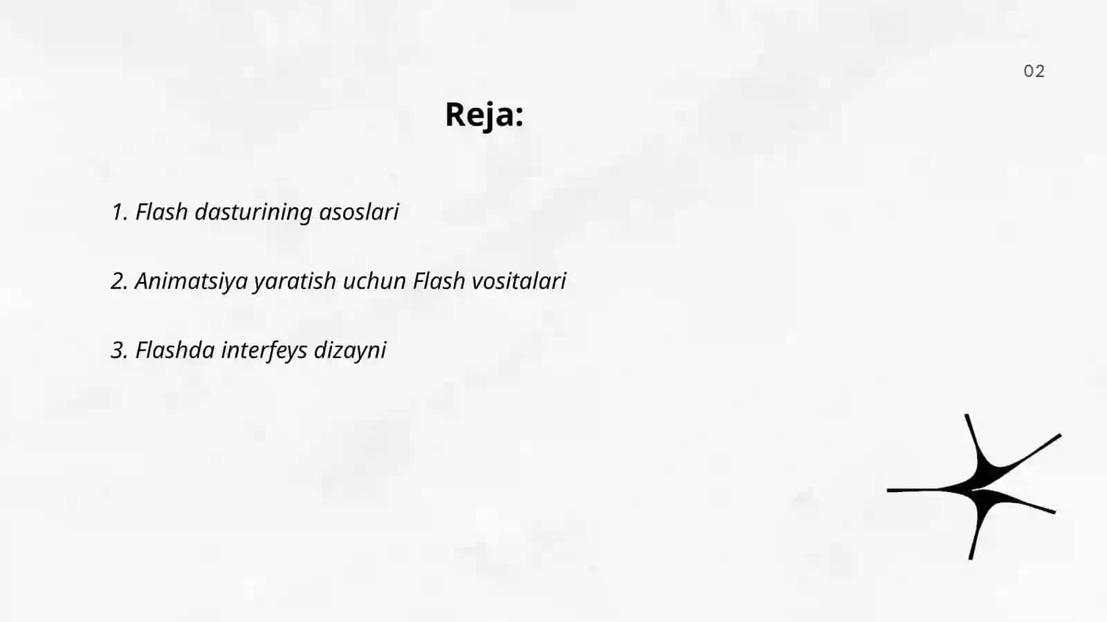 Flash dasturi 2