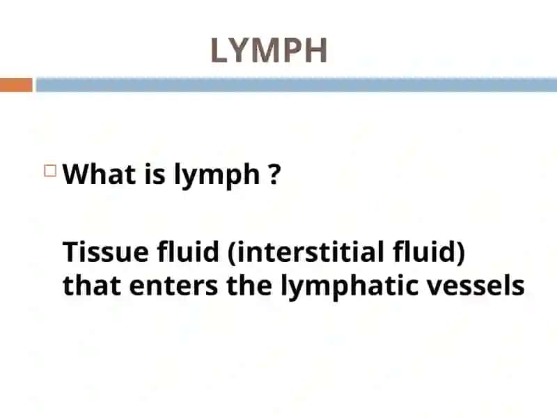 LYMPHATIC SYSTEM 2