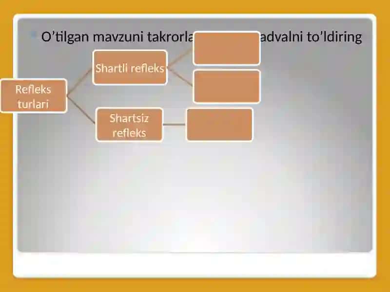Nerv faoliyati tiplari 2