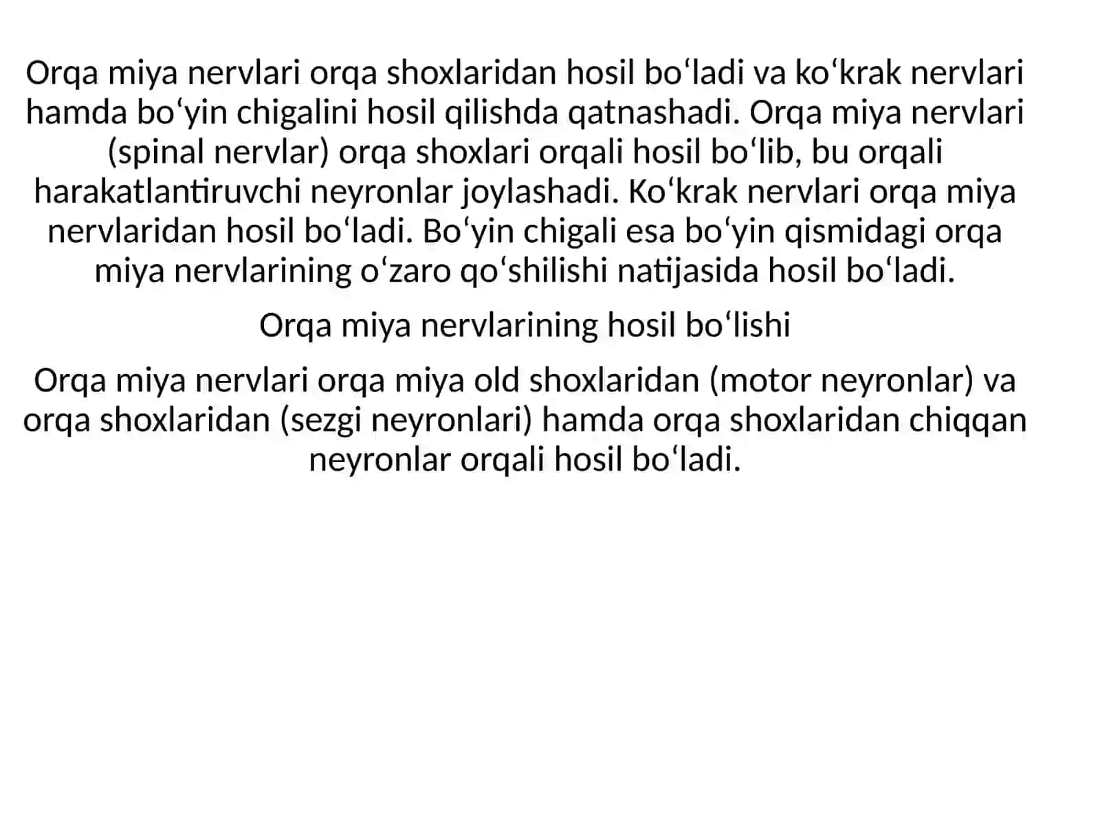Qozoqboyev Xondamir Zafarjonovich 2