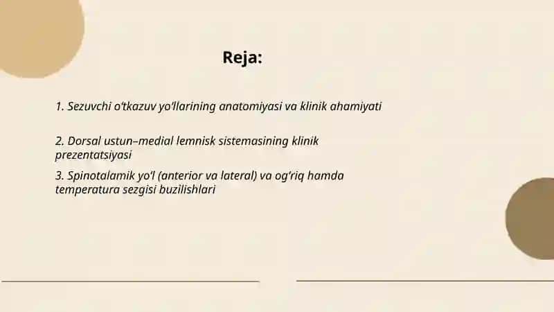 Sezuvchi oʻtkazuv yoʻllarining anatomiyasi va klinik ahamiyati 2