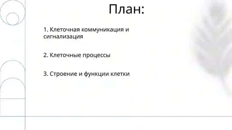 Клетка 2