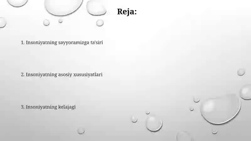 Insonparvarlik tamoyili 2