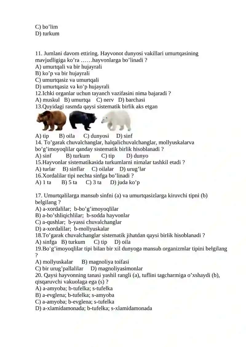 Yomg’ir chuvalchangi faoliyatiga mansub guruh 2