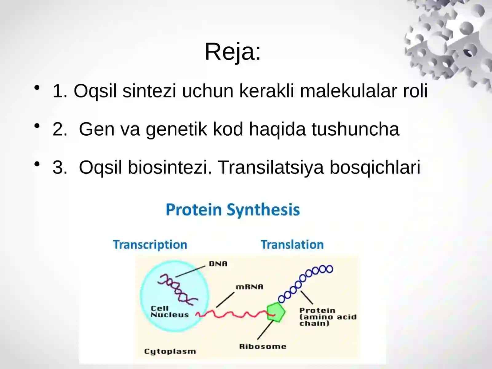 Oqsil  biosintezi. Transkripsiya vaTranslatsiyasi 2