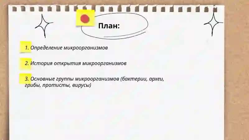 Микроорганизмы. Понятие о микроорганизмах 2