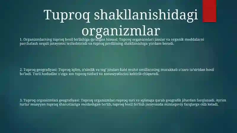 Organizmlar Va Tuproq Hosil BoʻLishi Hamda Geografiyasi 2