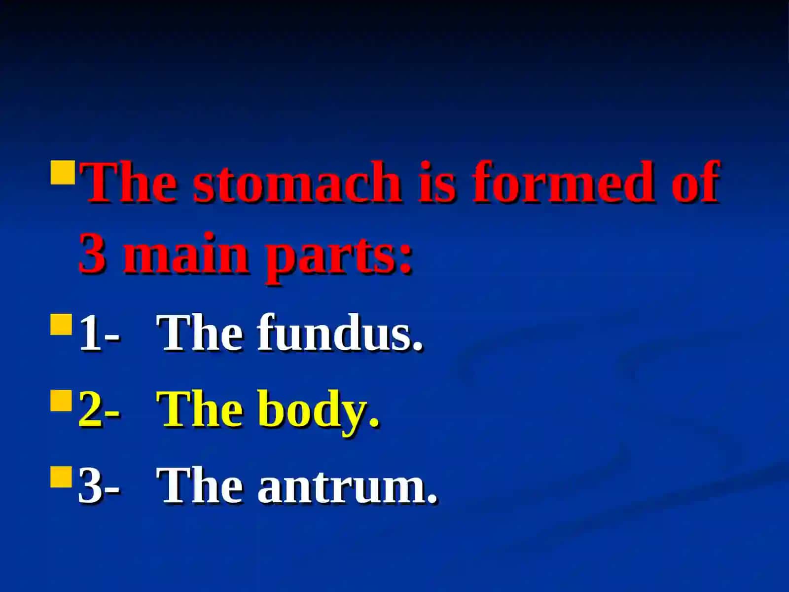 The stomach 2
