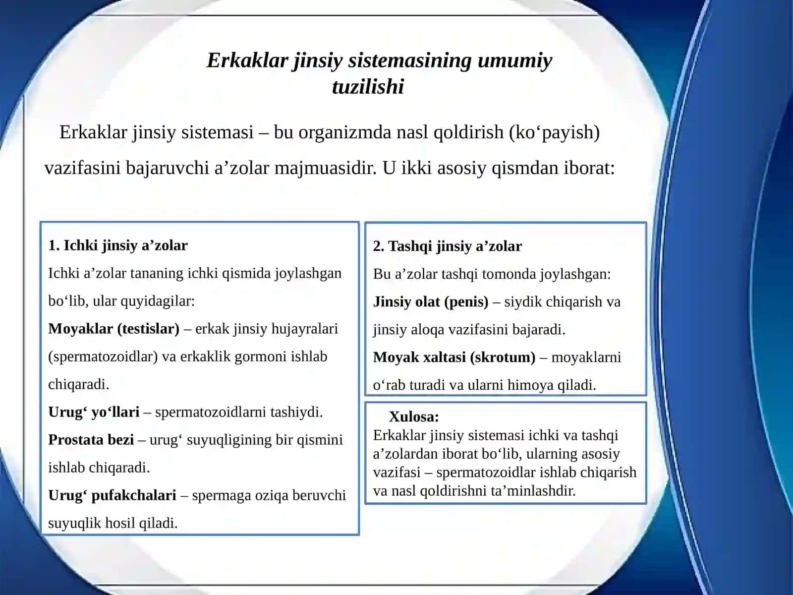 Erkaklar jinsiya sistemasi 2