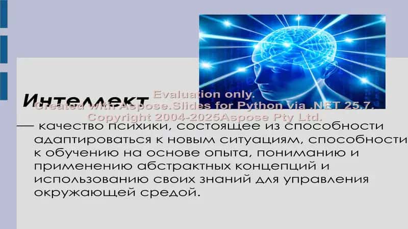 Интеллект 2
