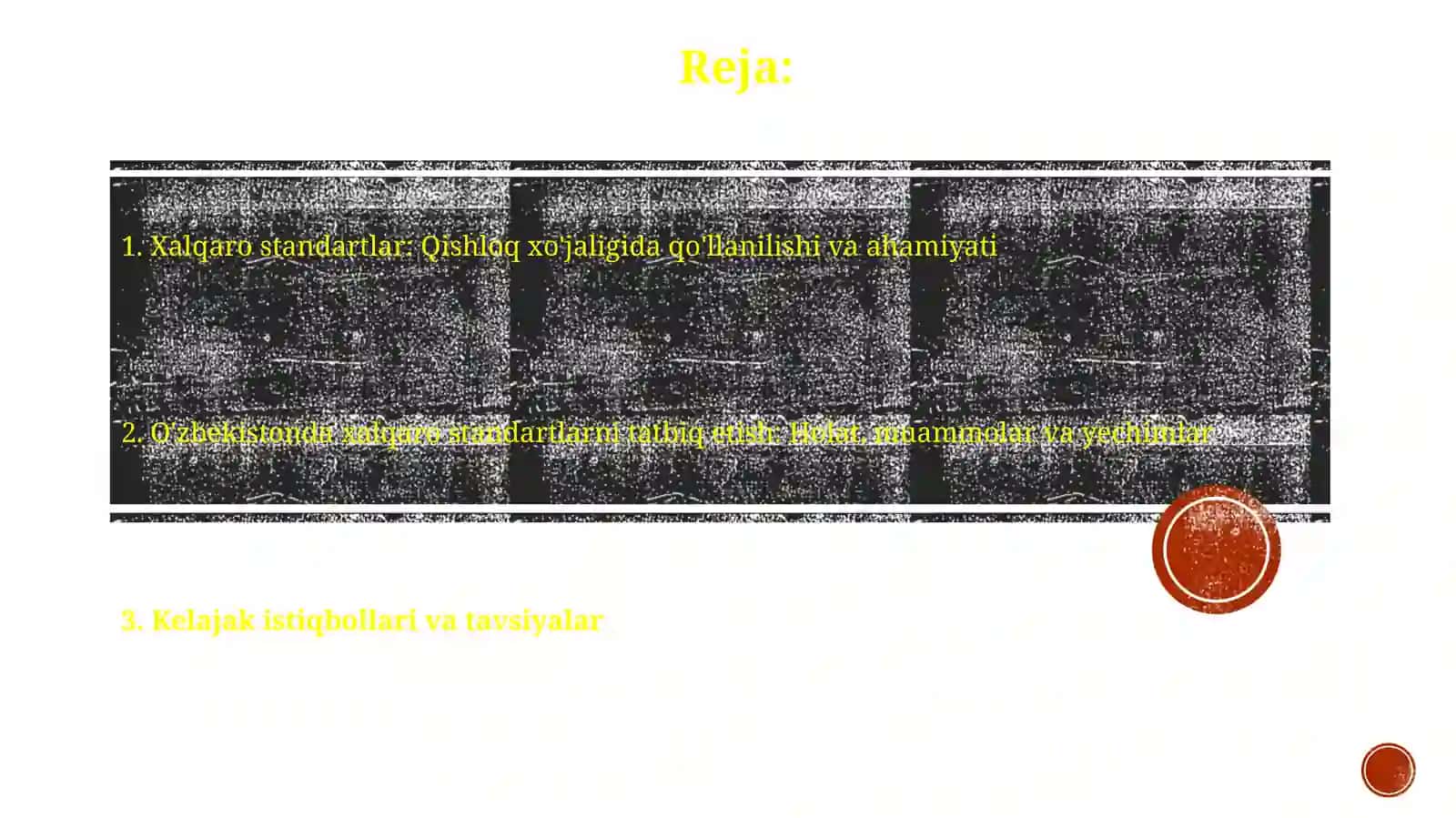 Xalqaro standartlar: Qisholqxojaligidaxalqarostandartlarningqo'llanilishi 2