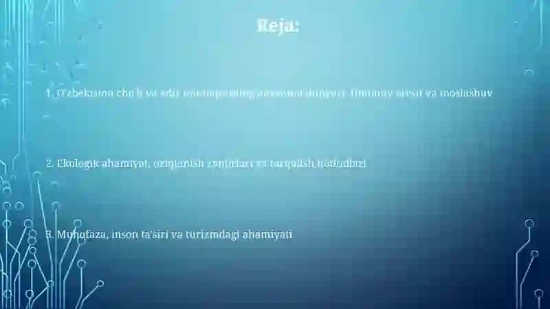 O'zbekiston cho'li va adir mintaqasi hayvonlari 2