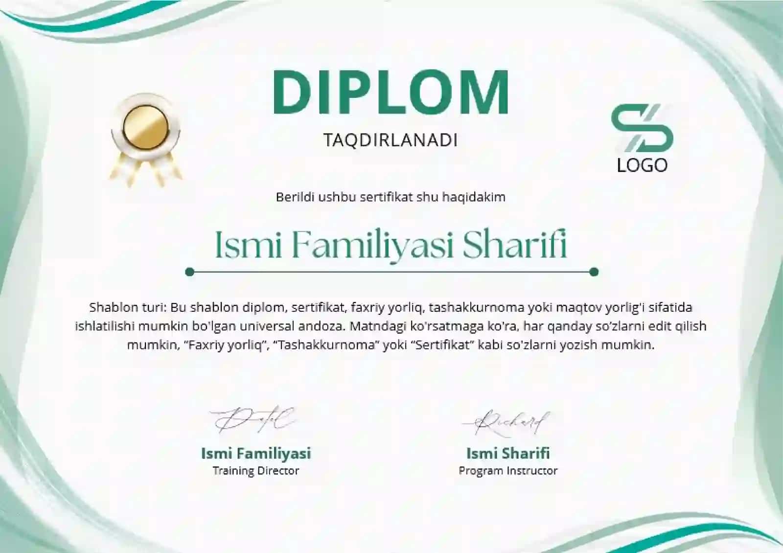 DIPLOM 2