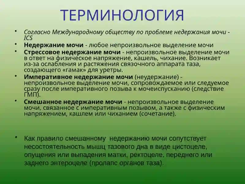 ТЕРМИНОЛОГИЯ 2