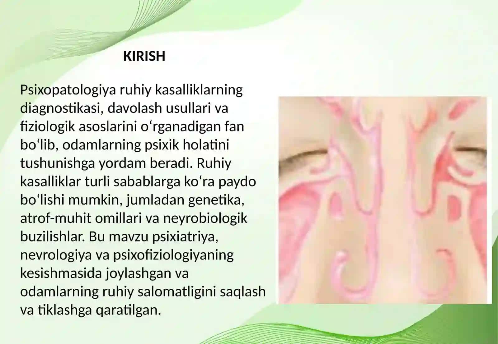 Psixopatologiya. Ruhiy kasalliklarning umumiy tarifi va fiziologik asoslari 2